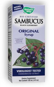 Sambucus Elderberry Syrup 4 fl oz